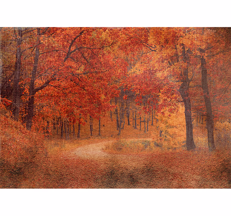 Fotomural naturaleza sendero rústico de otoño - TenVinilo