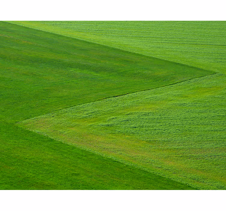 Fotomural naturaleza campos verdes puros - TenVinilo