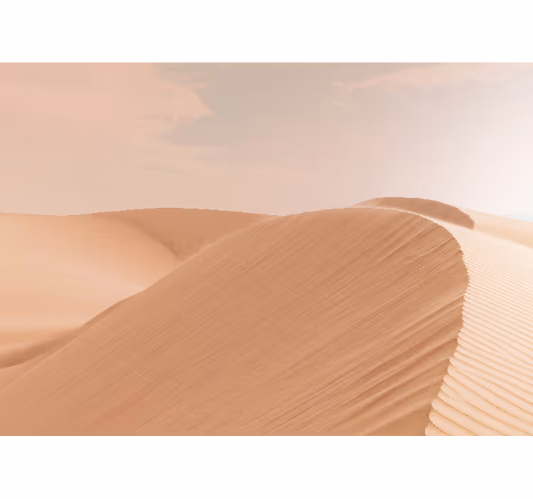 Fotomural desierto dunas de arena suave - TenVinilo