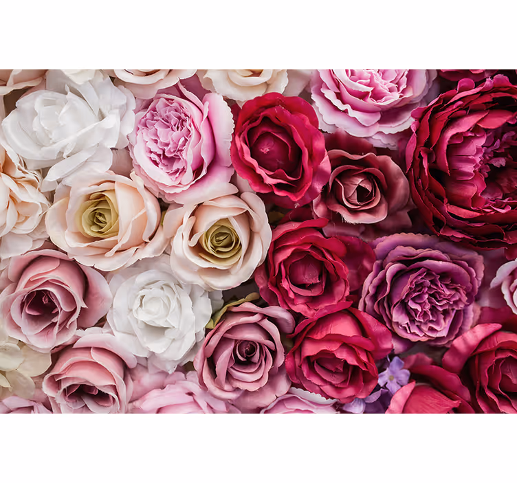 Mural de pared flores colección rosa hermosa - TenVinilo