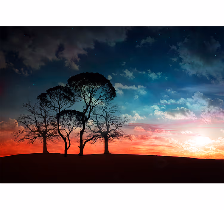 Fotomural árboles silueta de árbol al atardecer - TenVinilo