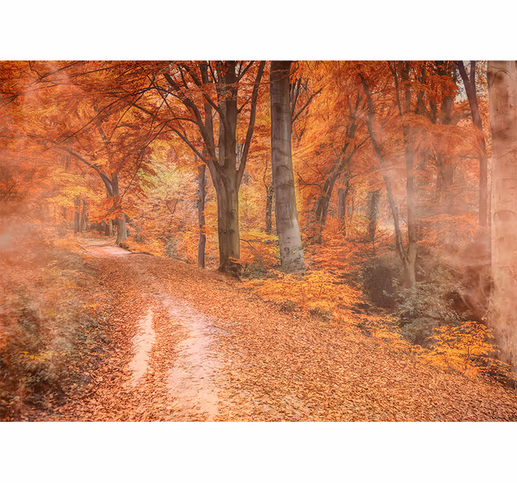 Papel pintado naturaleza sendero de otoño - TenVinilo