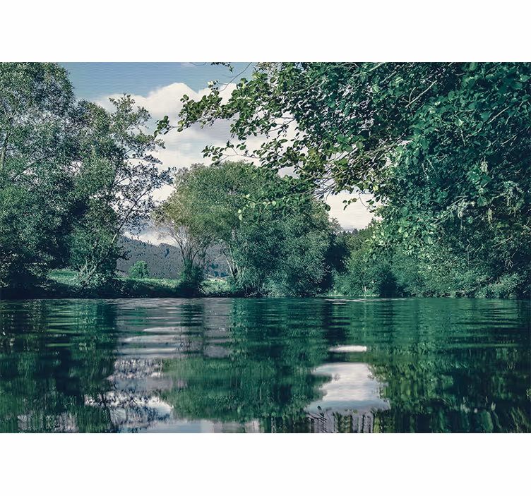 Fotomural naturaleza paisaje de río tranquilo - TenVinilo
