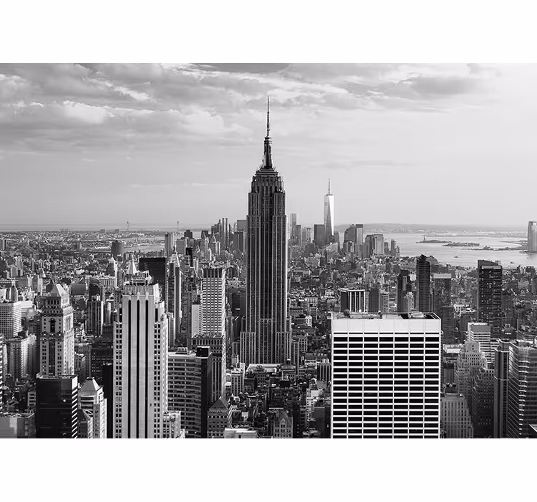 Fotomural nueva york paisaje urbano empire state - TenVinilo