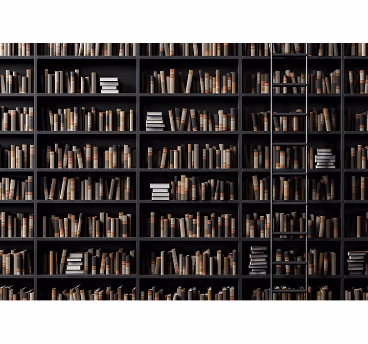 Mural de pared piedra colección de libros - TenVinilo