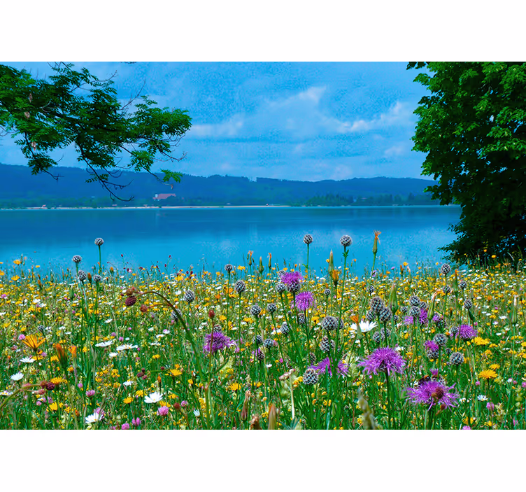 Mural de pared flores flora de pradera exuberante - TenVinilo