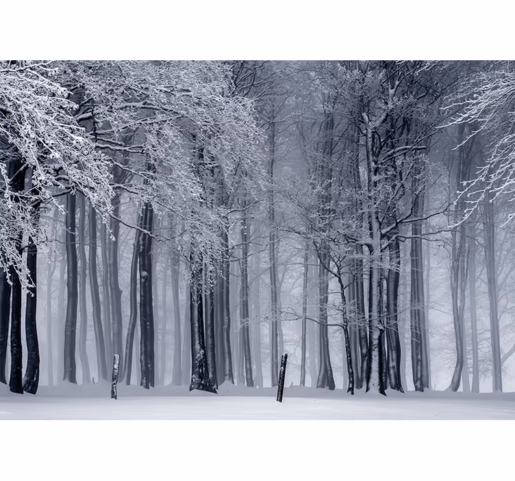 Fotomural bosque paisaje de arboles nevados - TenVinilo