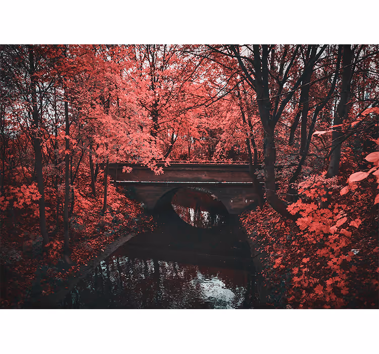 Fotomural naturaleza bosque de hojas rojas - TenVinilo