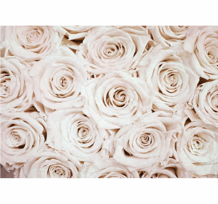 Mural de pared flores arreglo de rosas suaves - TenVinilo