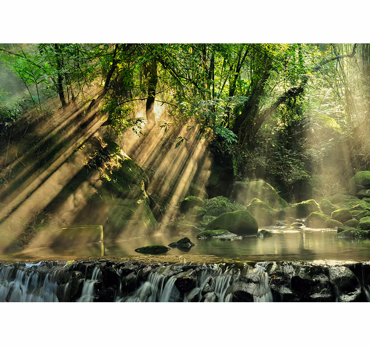 Fotomural naturaleza arroyo forestal iluminado por el sol - TenVinilo