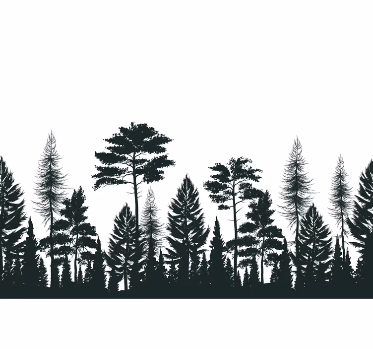 Fotomural naturaleza Árboles de pino silueteados - TenVinilo