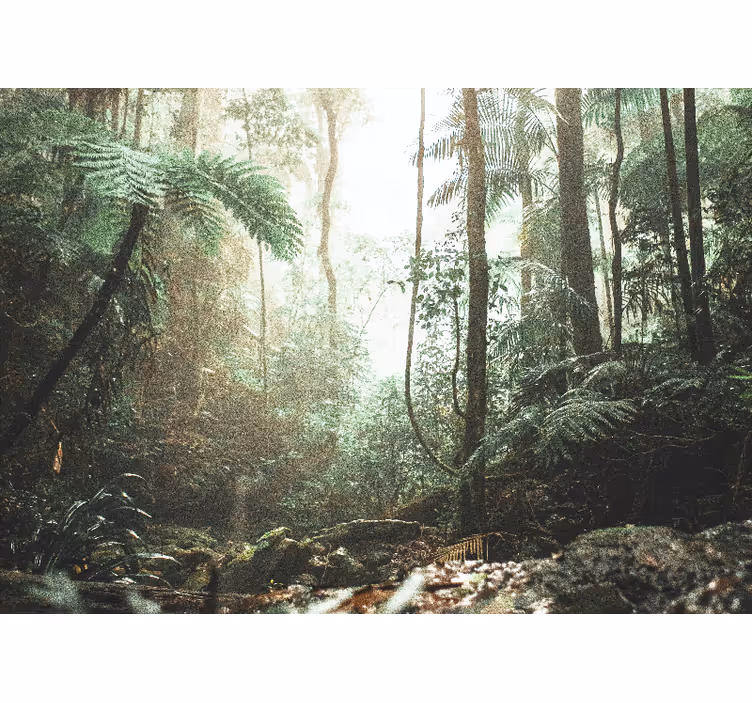 Fotomural bosque serenidad de la selva frondosa - TenVinilo