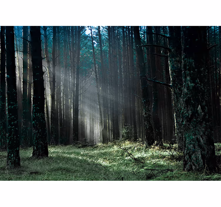 Papel pintado naturaleza bosque azul de niebla - TenVinilo