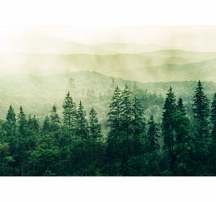 Fotomural naturaleza paisaje verde brumoso - TenVinilo