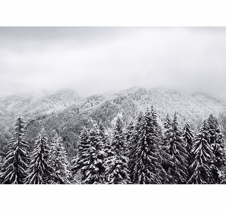 Fotomural naturaleza paisaje woodland invernal - TenVinilo