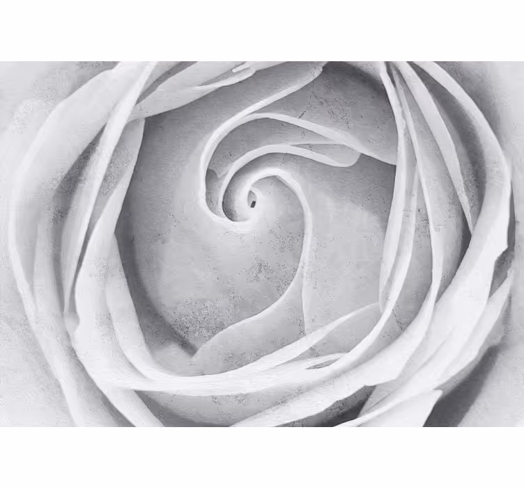 Mural de pared flores espiral de rosas elegantes - TenVinilo