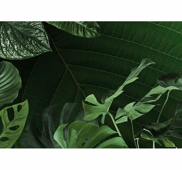 Fotomural naturaleza follaje verde exuberante - TenVinilo