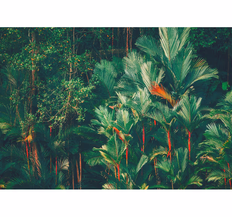 Fotomural selva colección palmas tropicales - TenVinilo