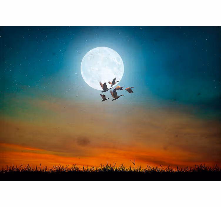 Fotomural naturaleza cielo nocturno en aves - TenVinilo