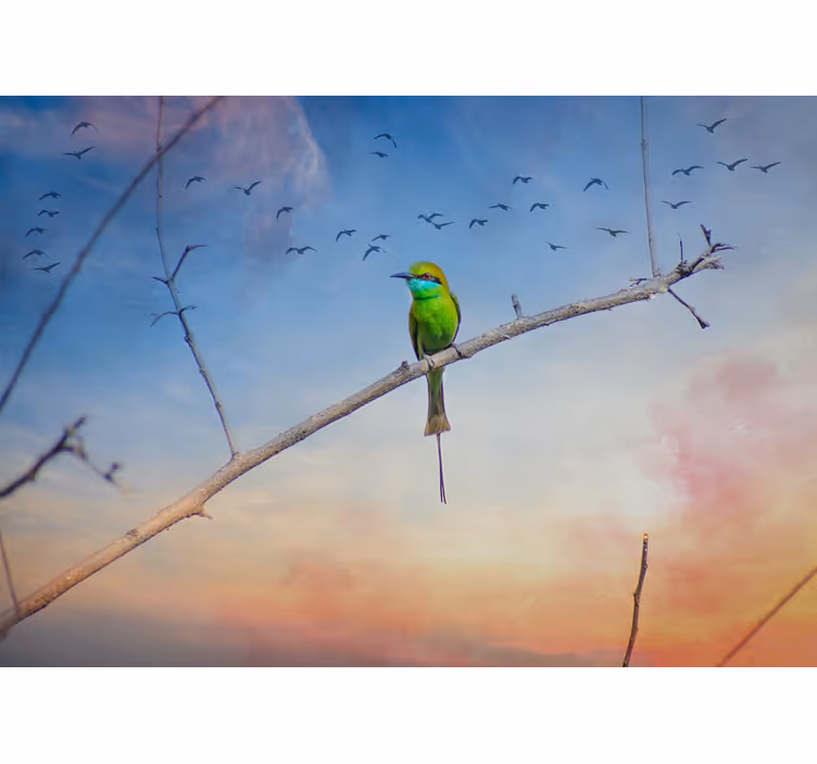 Fotomural animales pájaro en rama - TenVinilo