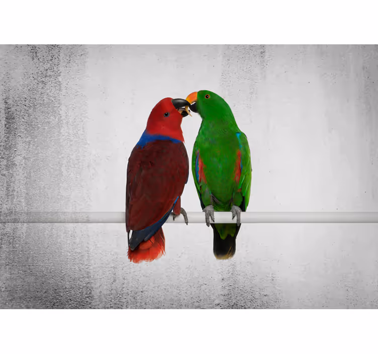 Fotomural animal interacción de loros coloridos - TenVinilo