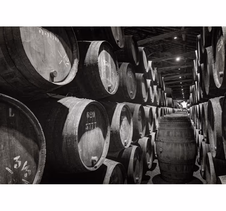 Fotomural retro bodega con barricas de vino - TenVinilo
