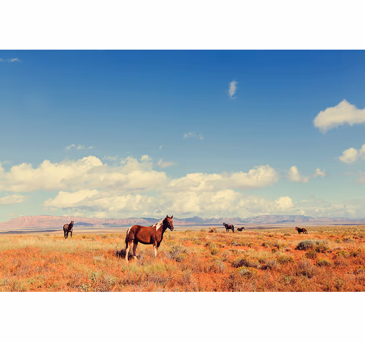 Fotomural naturaleza caballos en la pradera - TenVinilo