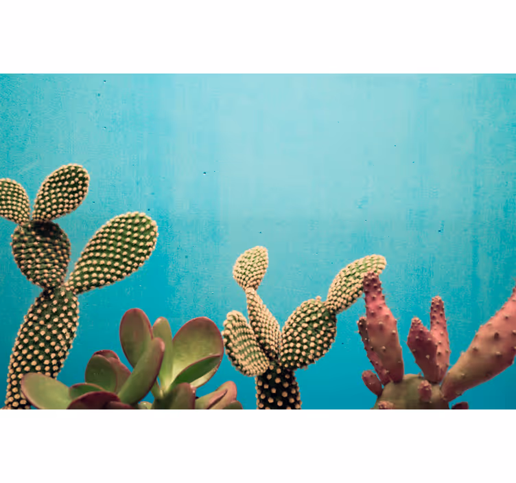 Fotomural flores cactus con fondo azul - TenVinilo