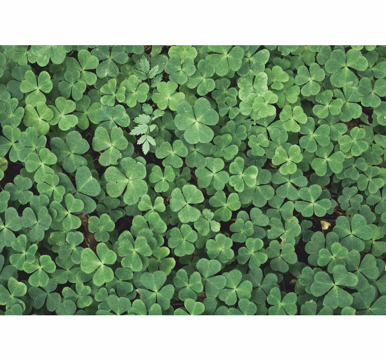 Papel pintado verde naturaleza treból - TenVinilo