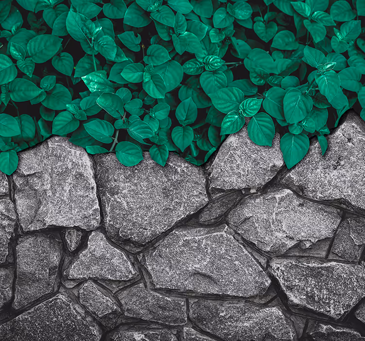 Papel pintado salón piedra y hojas - TenVinilo