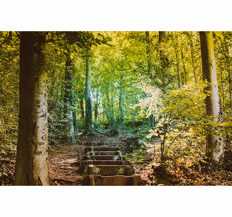 Papel pintado verde bosque camino con escaleras - TenVinilo
