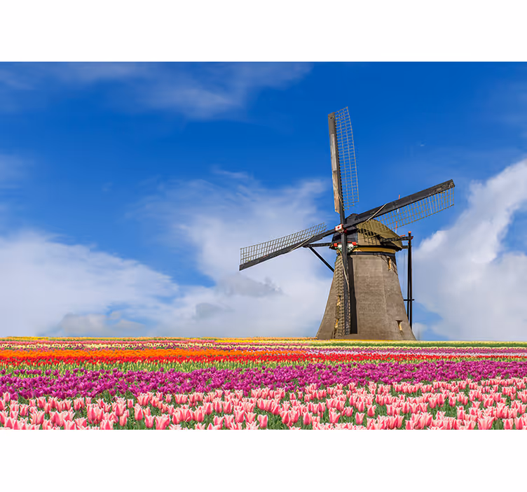 Fotomural de Ámsterdam campo de tulipanes y molino - TenVinilo