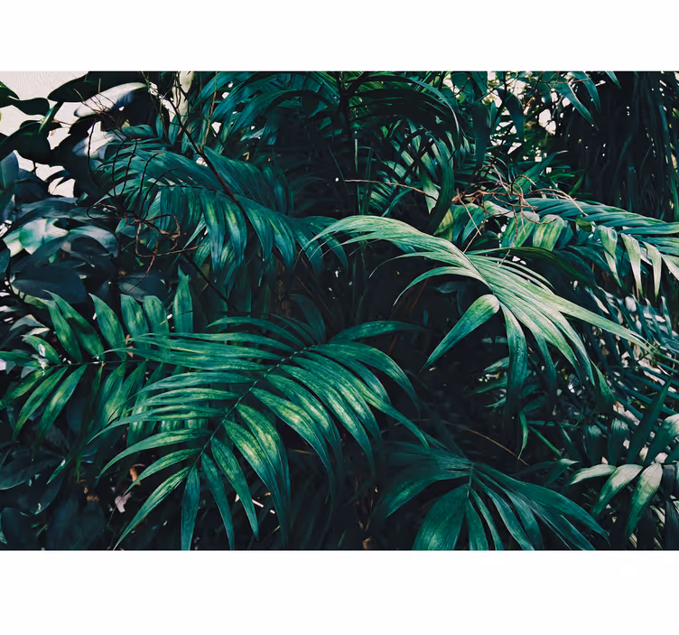 Papel pintado dormitorio plantas tropicales amazónicas - TenVinilo