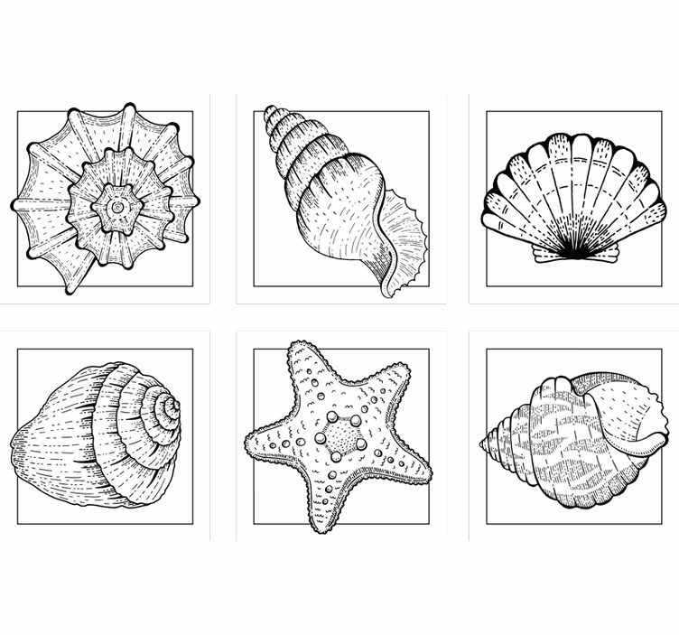 Posavasos textura patrones de conchas intrincados - TenVinilo