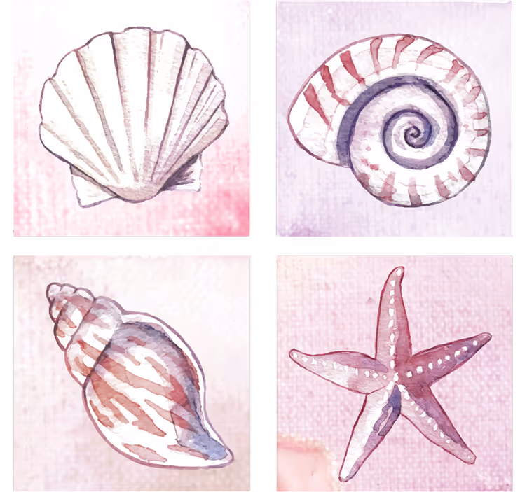 Posavasos textura acuarelas de conchas naturales - TenVinilo