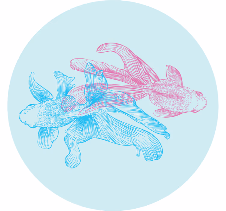 Posavasos frikis ilustraciones de peces bicolores - TenVinilo