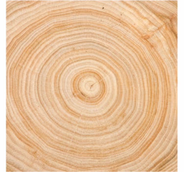 Posavasos textura círculo de madera - TenVinilo