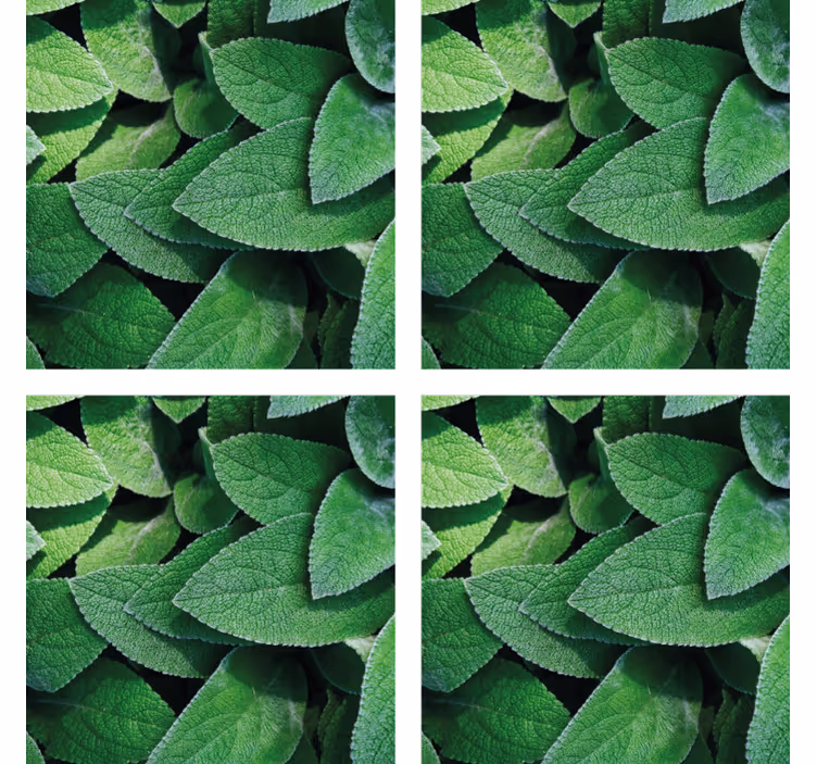 Posavasos textura motivo de hojas verdes vibrantes - TenVinilo