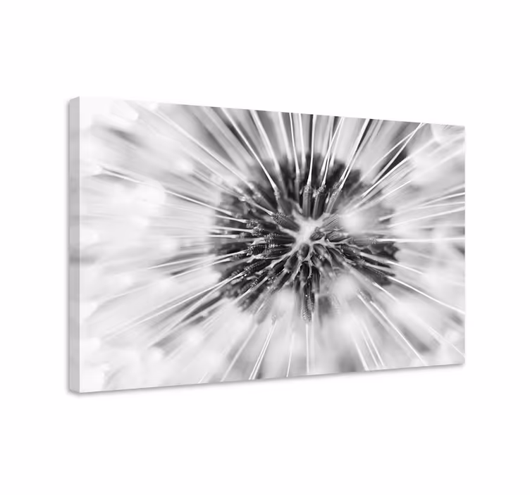Cuadro gris diente de león elegante en blanco y negro - TenVinilo