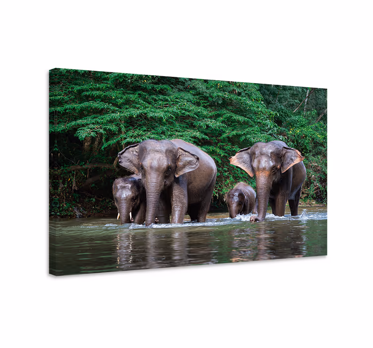 Cuadro elefante selva con animales - TenVinilo