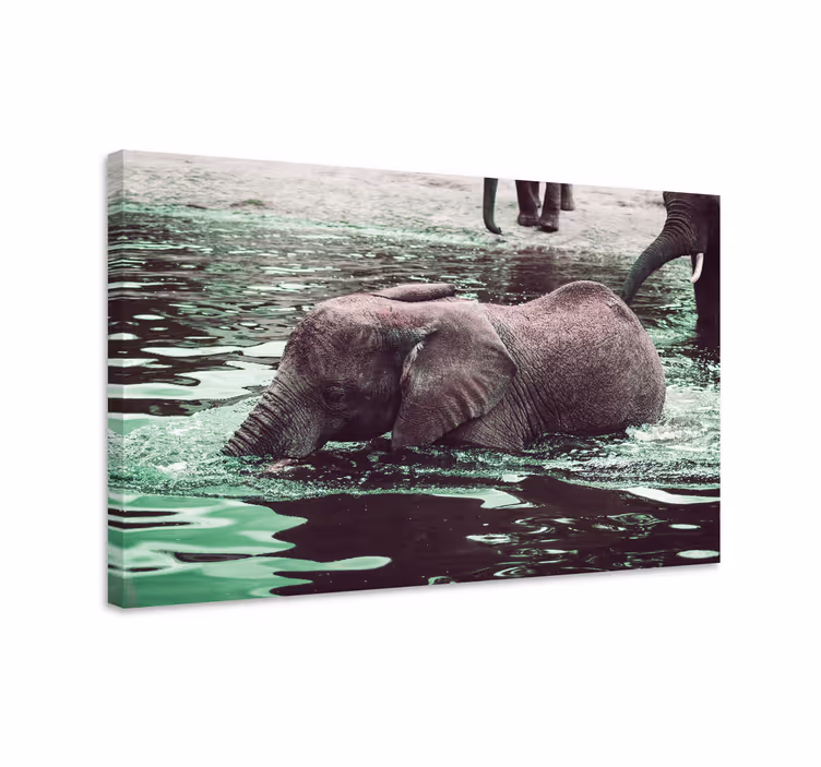 Cuadro elefante elefantitos bebiendo - TenVinilo