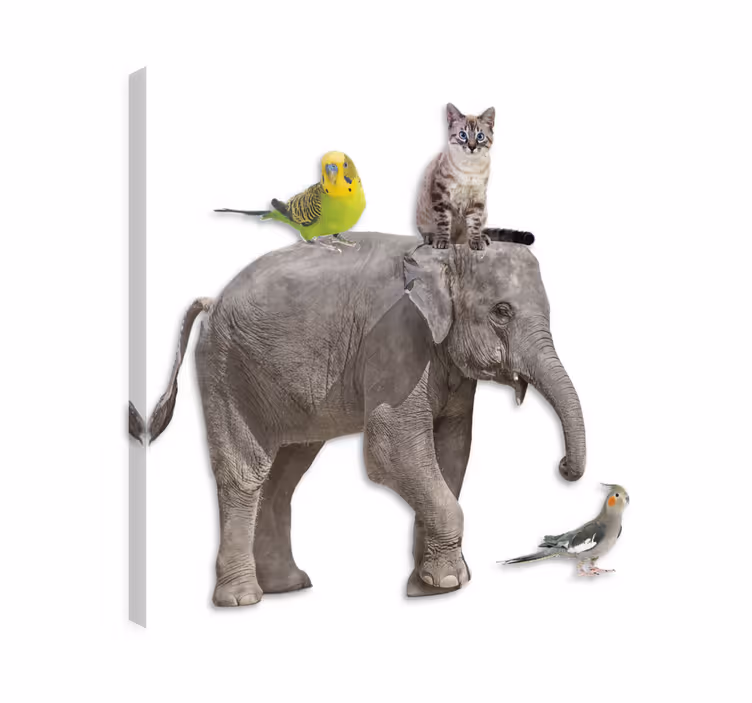 Cuadro elefante y otros animales - TenVinilo