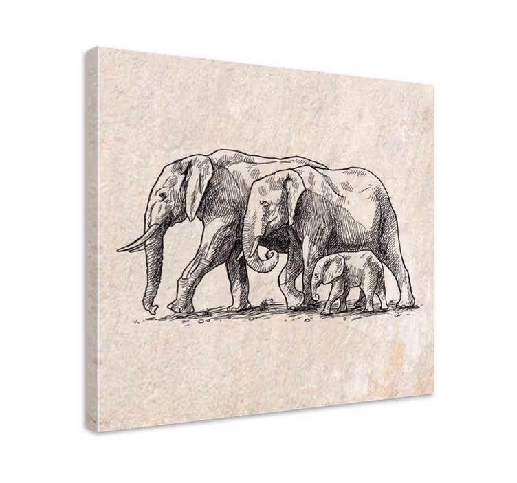 Cuadro elefante boceto de elefantes - TenVinilo