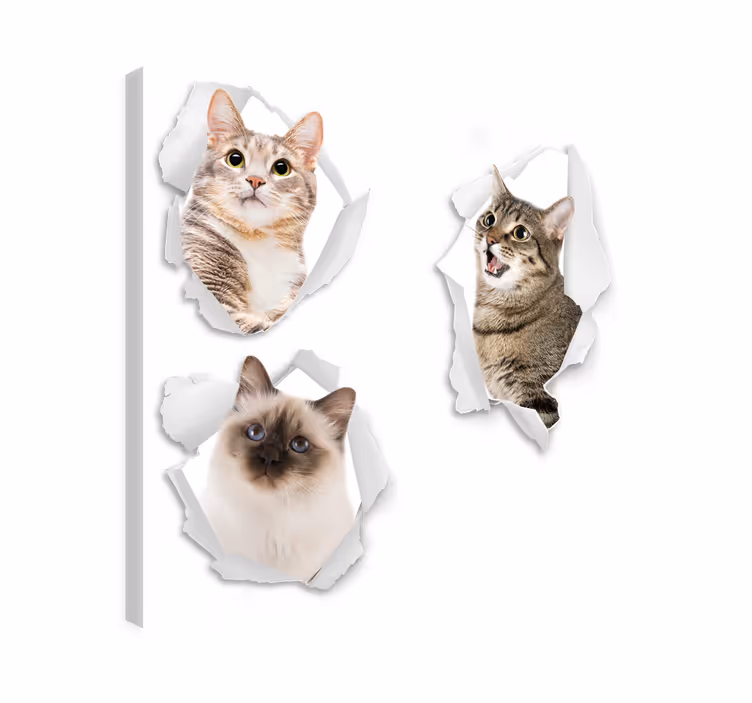 Cuadro de gatos kittens trampantojo en 3d - TenVinilo