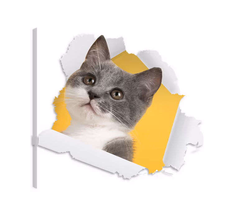 Cuadro de gatos sticker de gato en 3d - TenVinilo