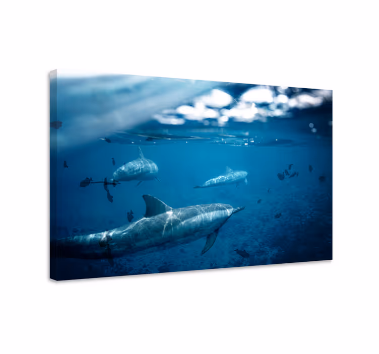 Cuadro peces delfines y peces - TenVinilo