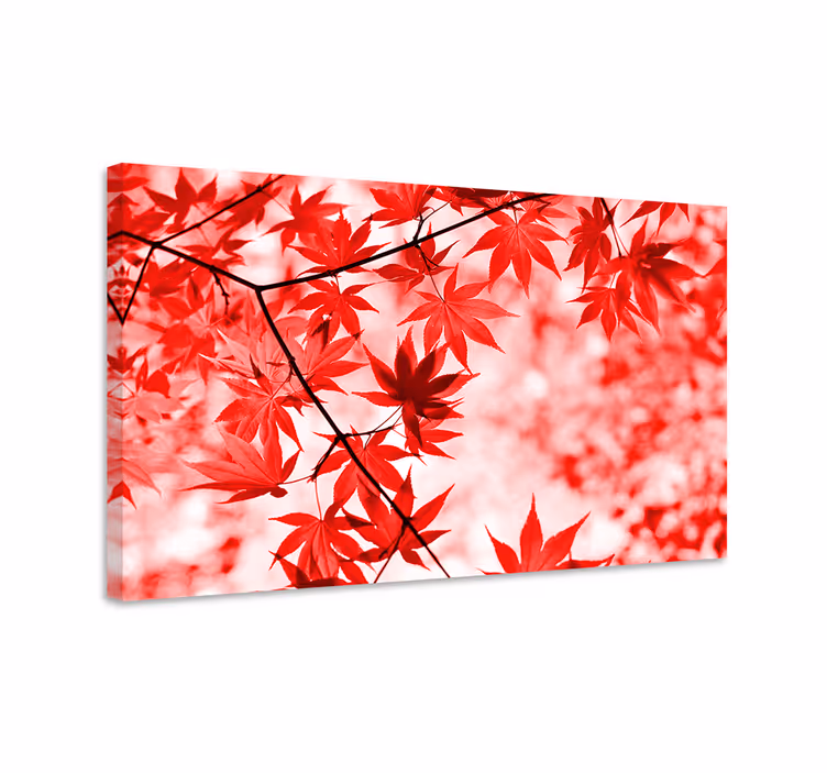 Cuadro de flores hojas de arce de color rojo vivo - TenVinilo