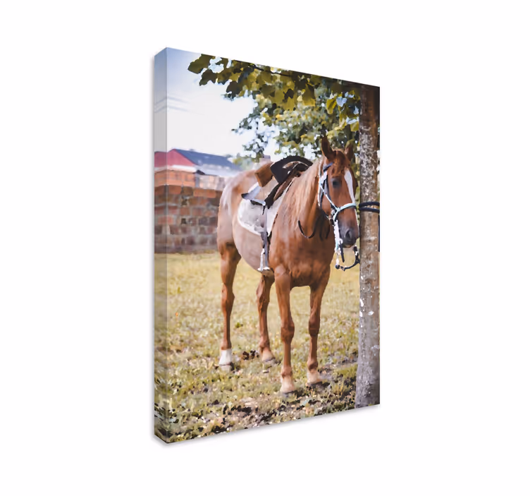 Cuadro caballos caballo marrón elegante - TenVinilo