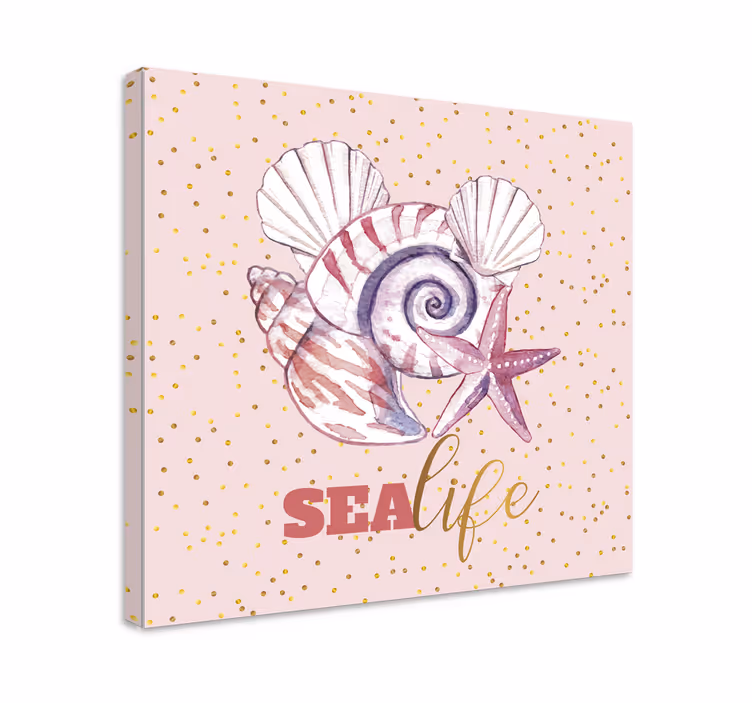 Cuadro marinero con concha y estrella de mar - TenVinilo