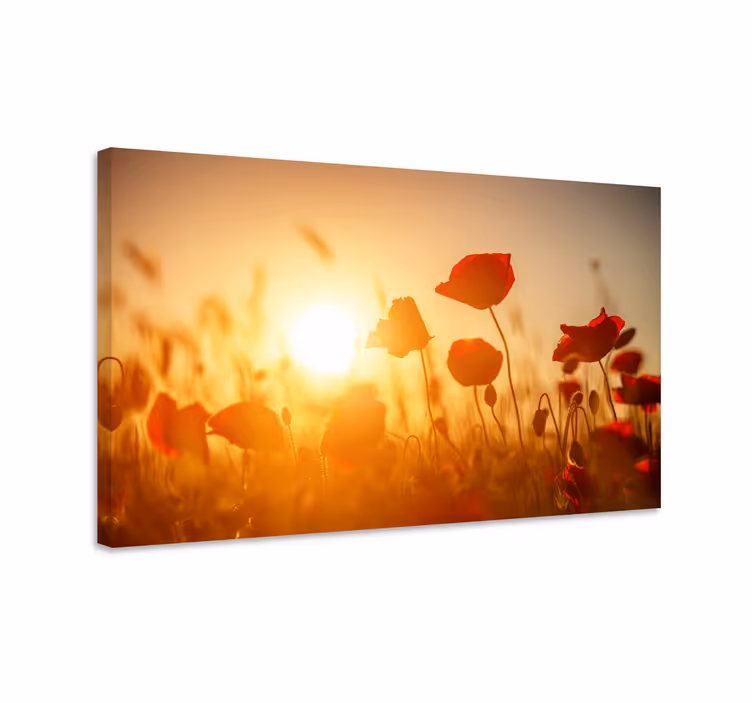 Cuadro de flores campo de amapolas brillantes - TenVinilo
